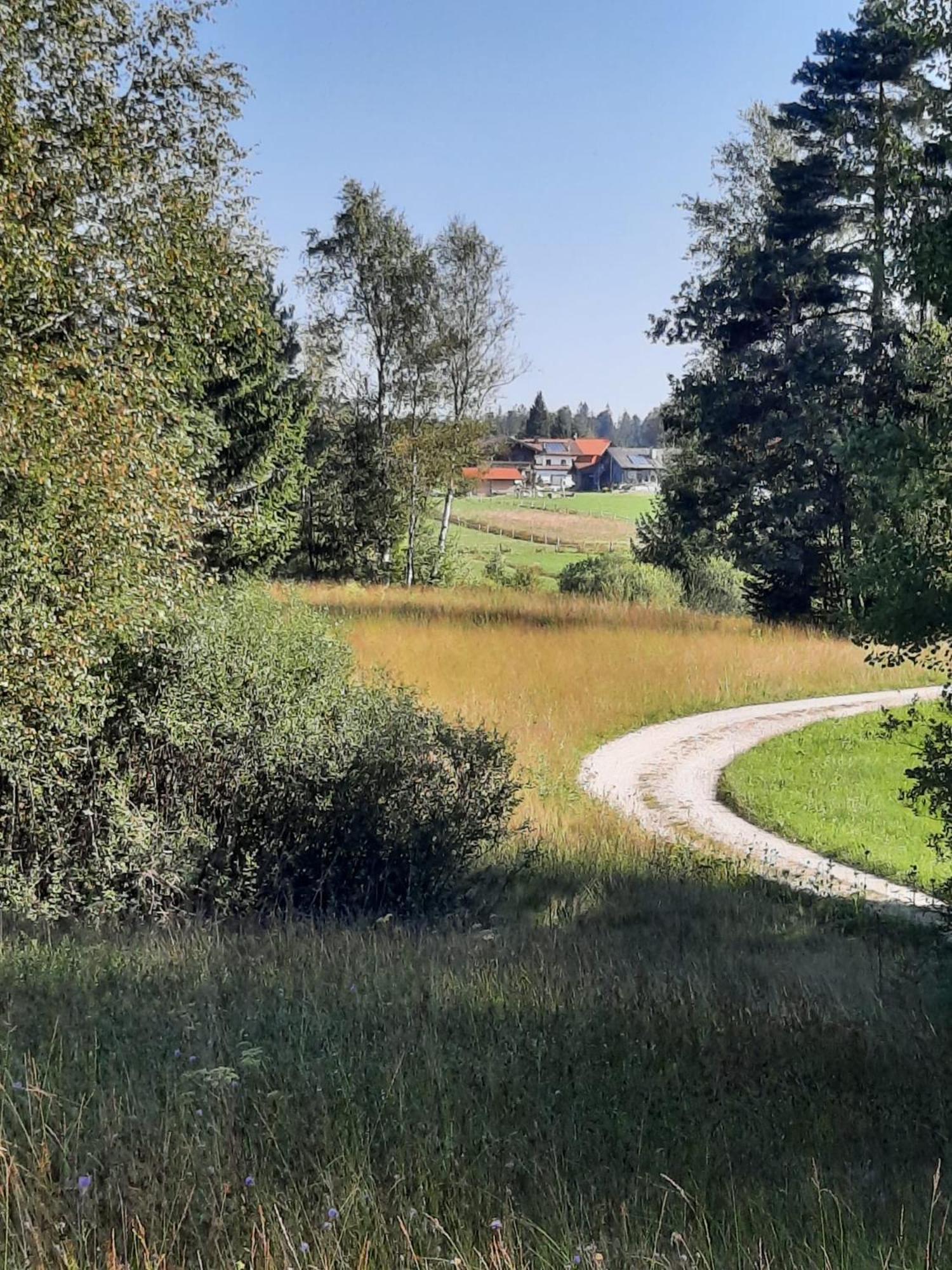 Ferienwohnung Am Wirtshof Siegsdorf Exterior foto